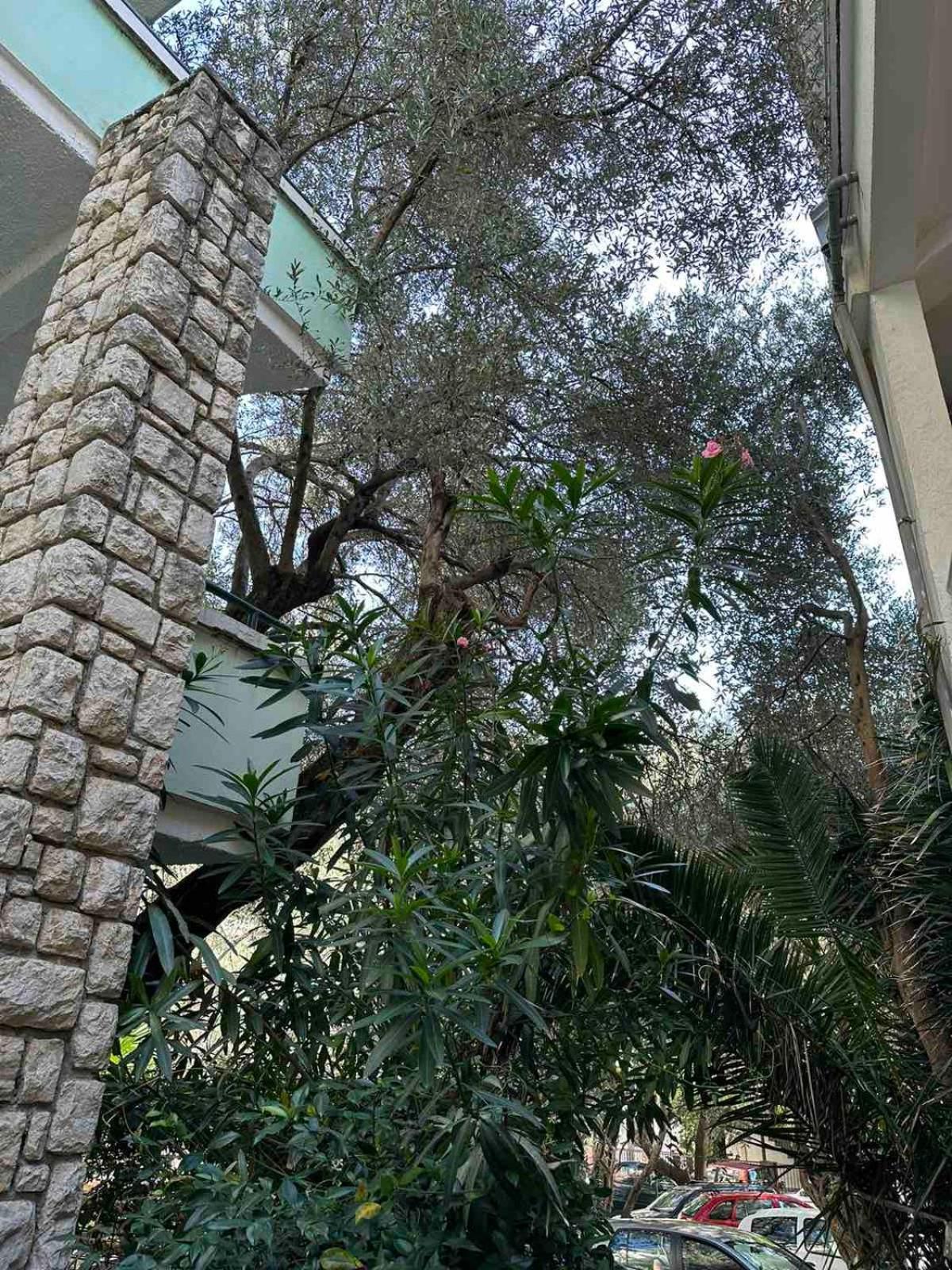Oliva, Rafailovici Apartment Budva